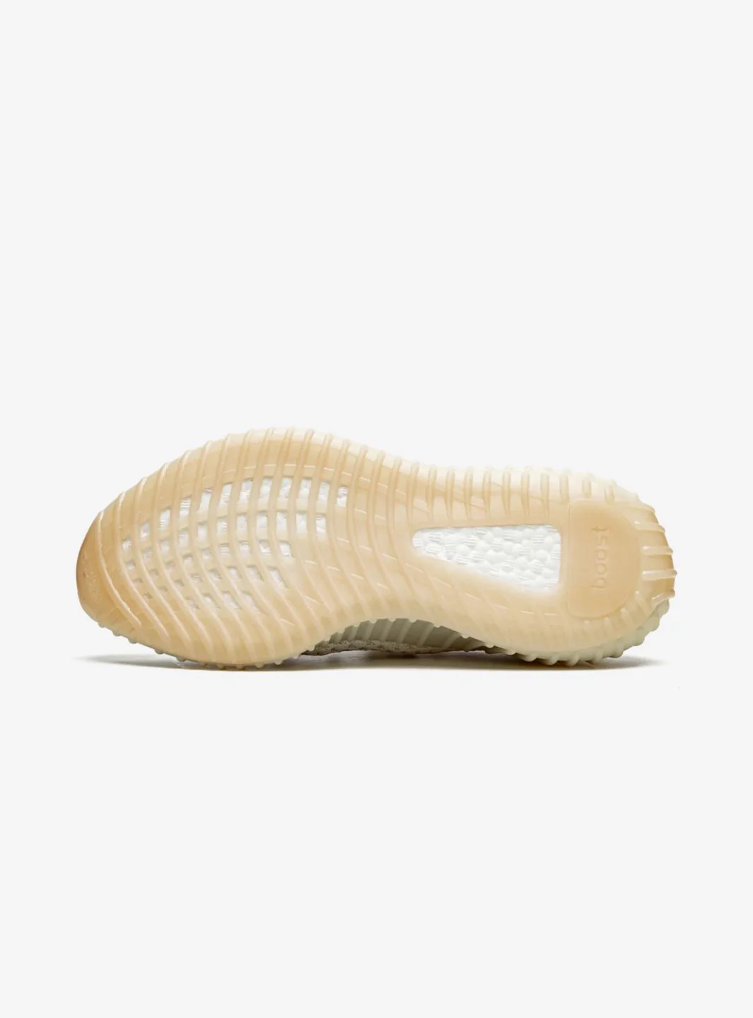 Adidas Yeezy Boost 350 V2 Light - Image 4
