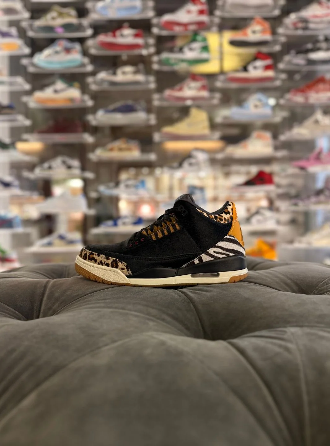 Air Jordan 3 Retro SE Animal Instinct - Usato 9/10
