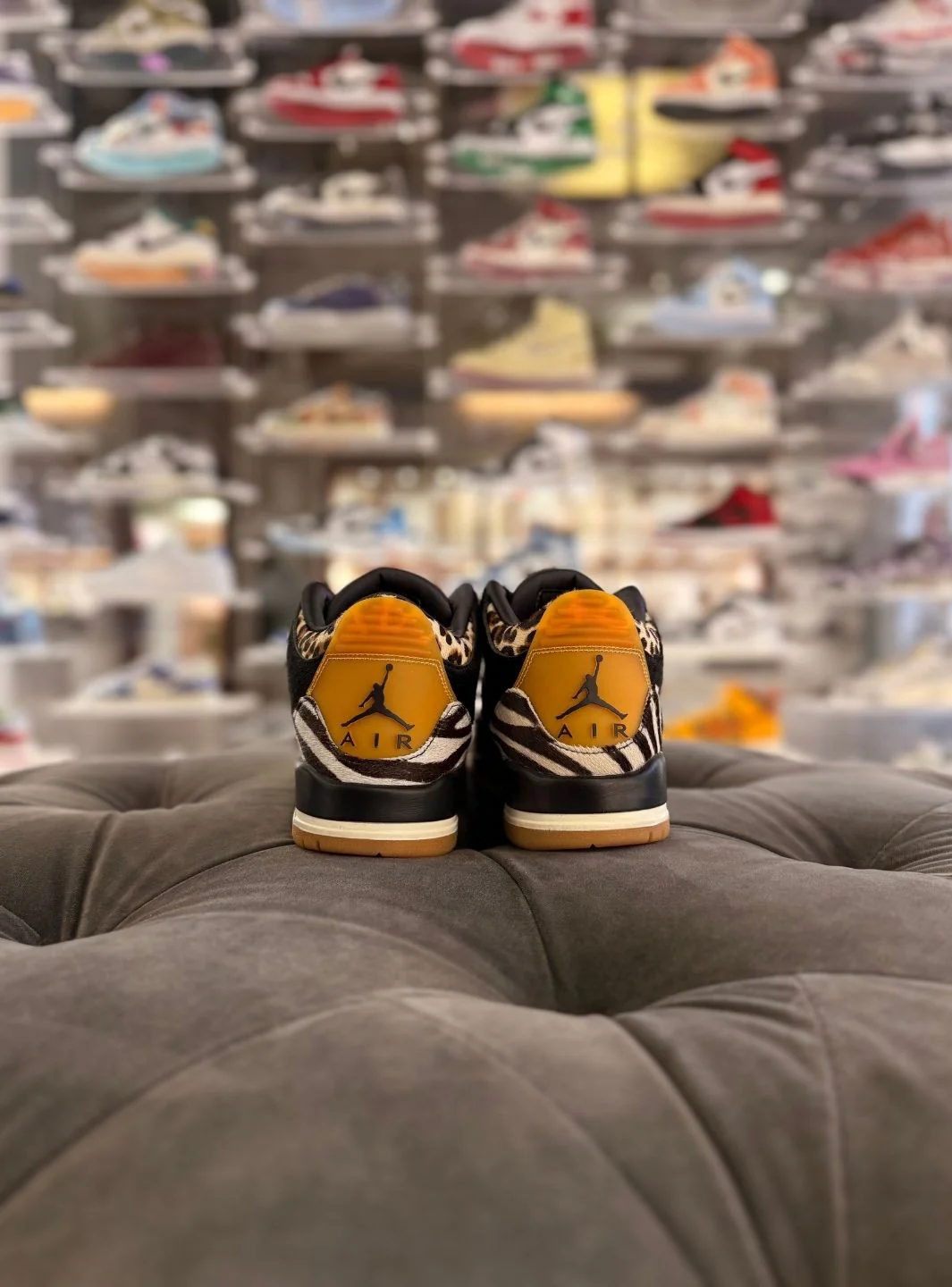 Air Jordan 3 Retro SE Animal Instinct - Usato 9/10 - Image 3