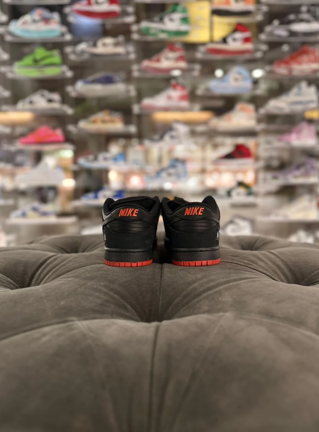 Nike SB Dunk Low Black Pigeon - Usato 9.5/10 - Image 4
