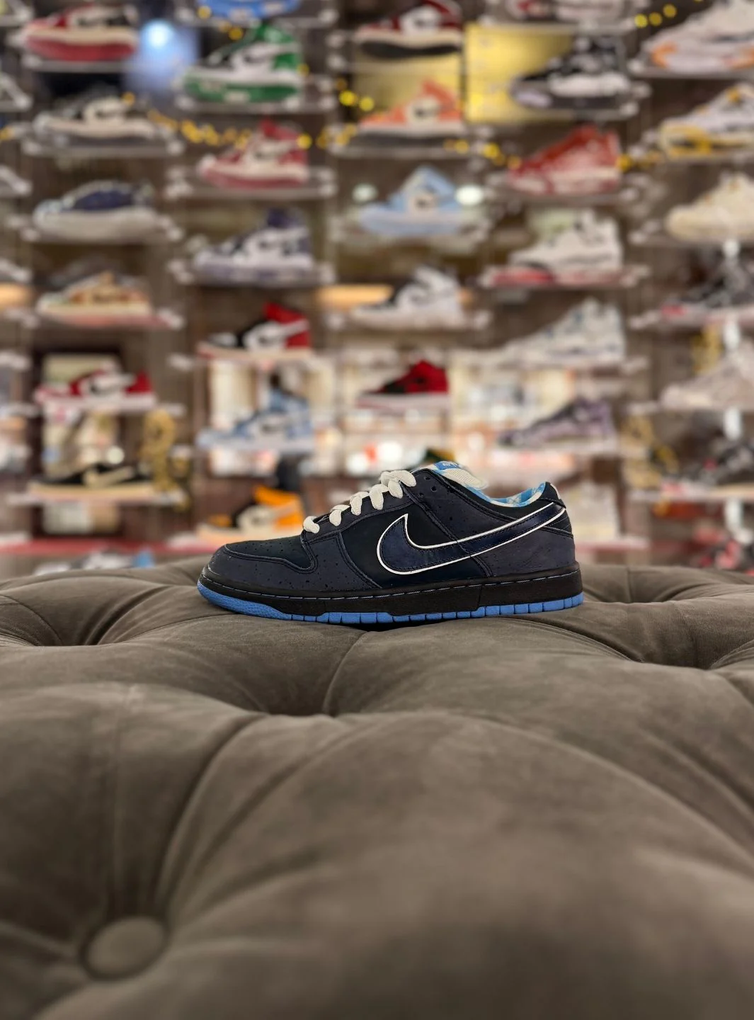 Nike SB Dunk Low Concepts Blue Lobster - Usato 9/10