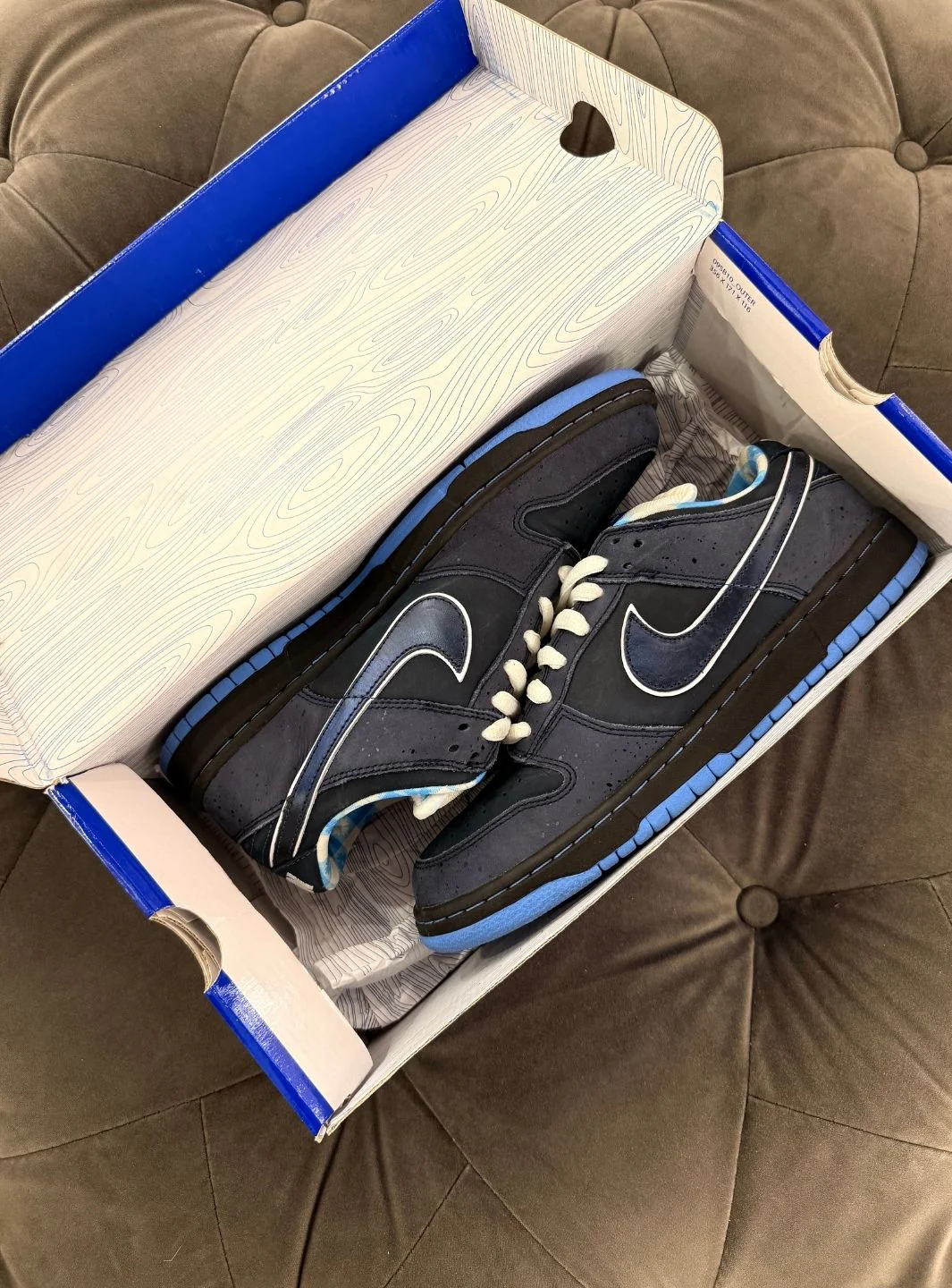 Nike SB Dunk Low Concepts Blue Lobster - Usato 9/10 - Image 14