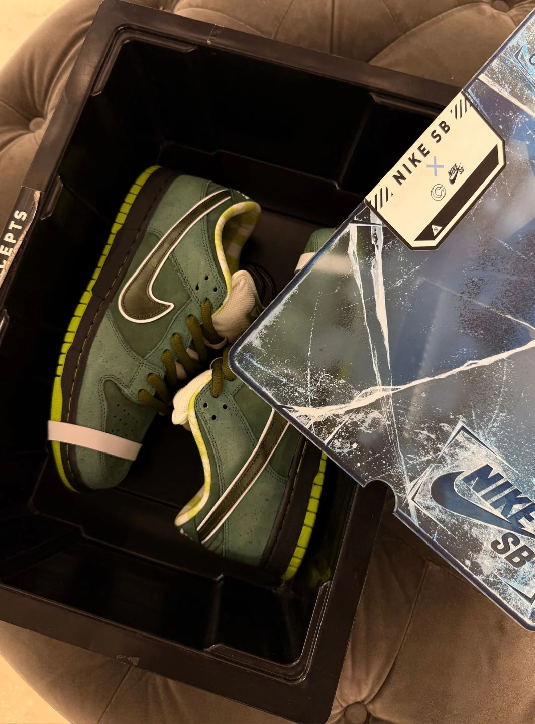 Nike SB Dunk Low Concepts Green Lobster (Special Box) - Usato 9.5/10 - Image 11