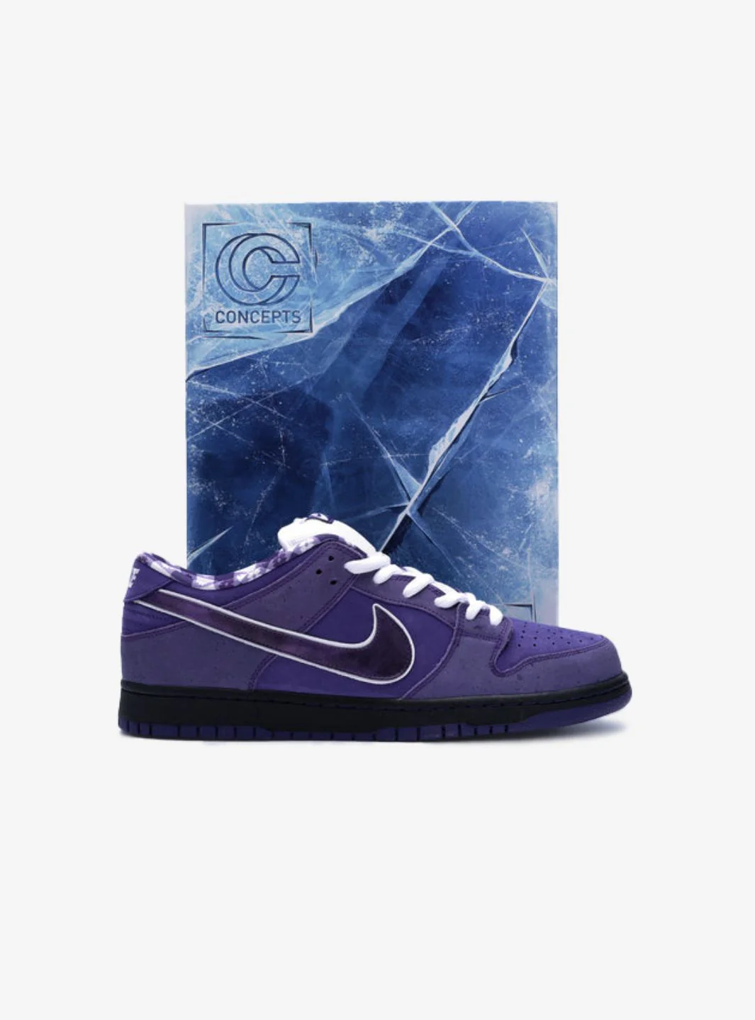 Nike SB Dunk Low Concepts Purple Lobster (Special Box) - Image 6