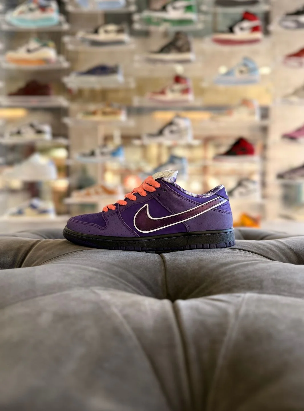 Nike SB Dunk Low Concepts Purple Lobster - Usato 9.5/10