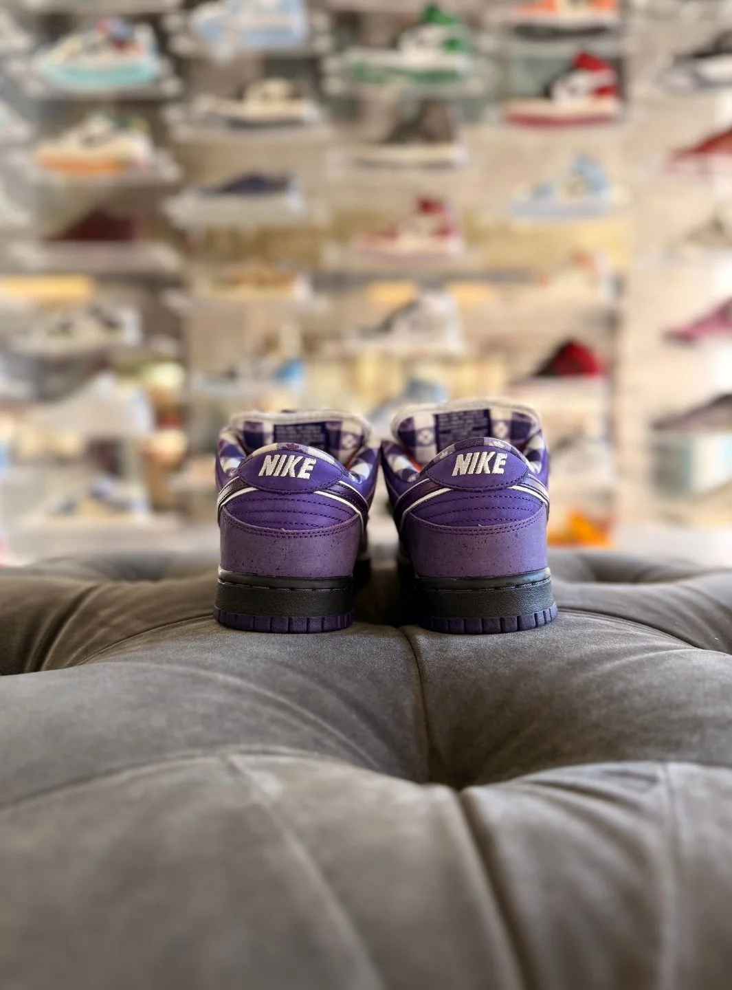 Nike SB Dunk Low Concepts Purple Lobster - Usato 9.5/10 - Image 4