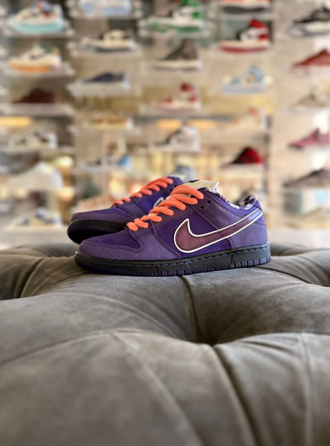 Nike SB Dunk Low Concepts Purple Lobster - Usato 9.5/10 - Image 9